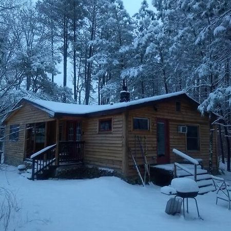 Rustic Quaint Cabin In The Woods--Pets Welcomed Dunnsville Dış mekan fotoğraf