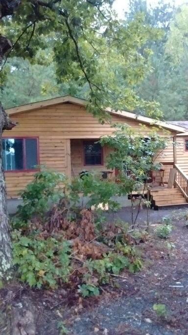 Rustic Quaint Cabin In The Woods--Pets Welcomed Dunnsville Dış mekan fotoğraf