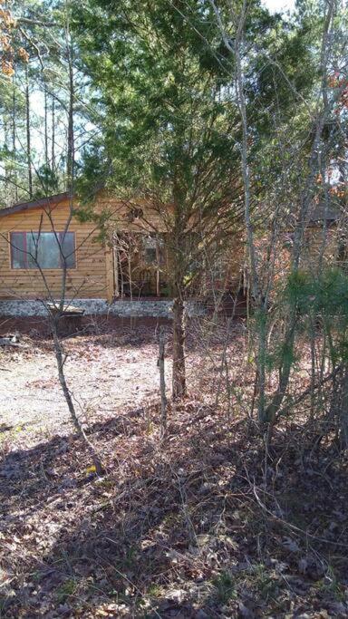 Rustic Quaint Cabin In The Woods--Pets Welcomed Dunnsville Dış mekan fotoğraf