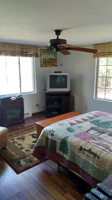 Rustic Quaint Cabin In The Woods--Pets Welcomed Dunnsville Dış mekan fotoğraf