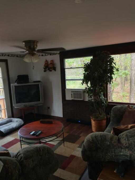 Rustic Quaint Cabin In The Woods--Pets Welcomed Dunnsville Dış mekan fotoğraf
