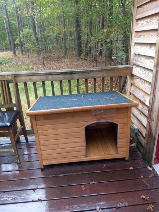 Rustic Quaint Cabin In The Woods--Pets Welcomed Dunnsville Dış mekan fotoğraf