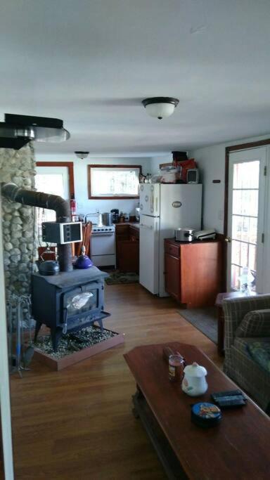 Rustic Quaint Cabin In The Woods--Pets Welcomed Dunnsville Dış mekan fotoğraf