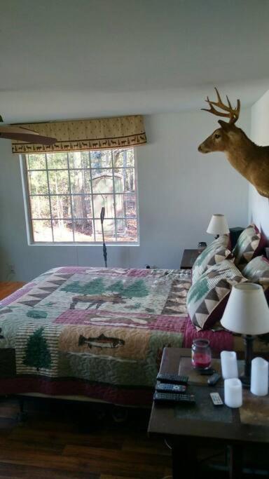Rustic Quaint Cabin In The Woods--Pets Welcomed Dunnsville Dış mekan fotoğraf